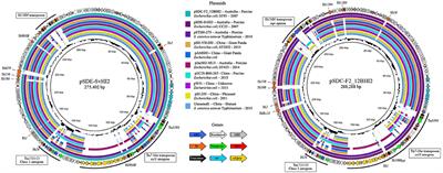 Complete Sequences of Multiple-Drug Resistant IncHI2 ST3 Plasmids in Escherichia coli of Porcine Origin in Australia